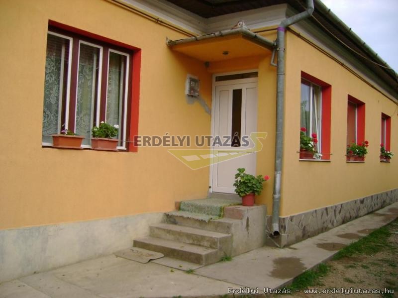 T�mea Gasthaus (1)