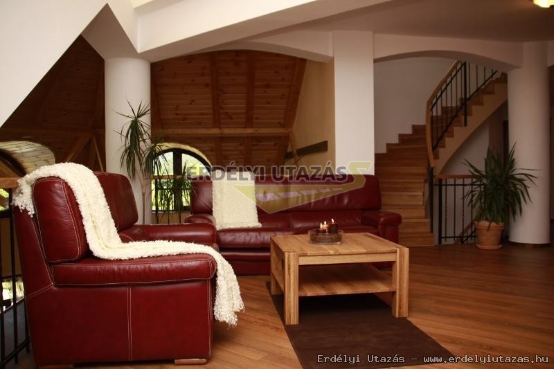 Cupidon Panzi� (12)
