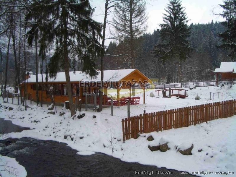 Otter Bungalow (5)