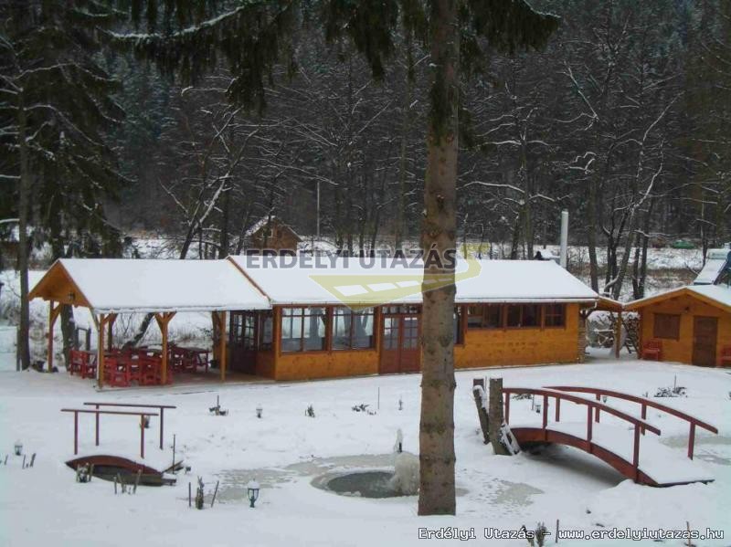 Otter Bungalow (6)