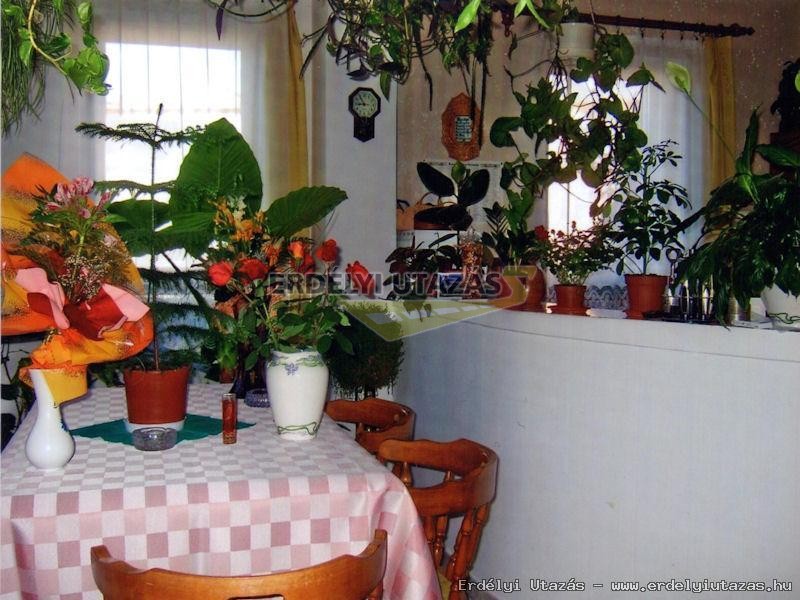 Boti Vend�gh�z (9)