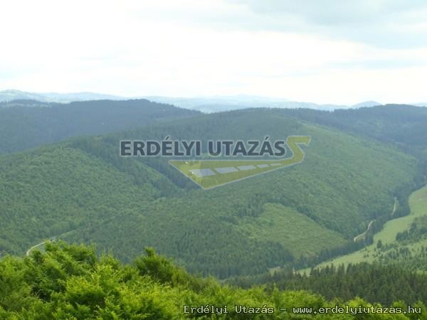 Pension N�rcisz (29)