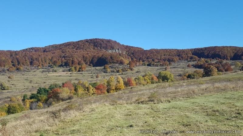 Csaba Guest house - Sikld (23)
