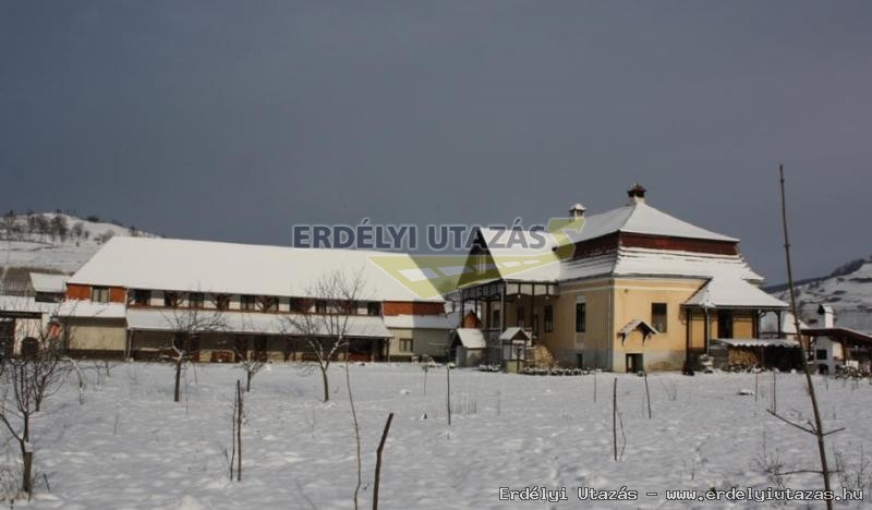 Kria Vendghz (4)