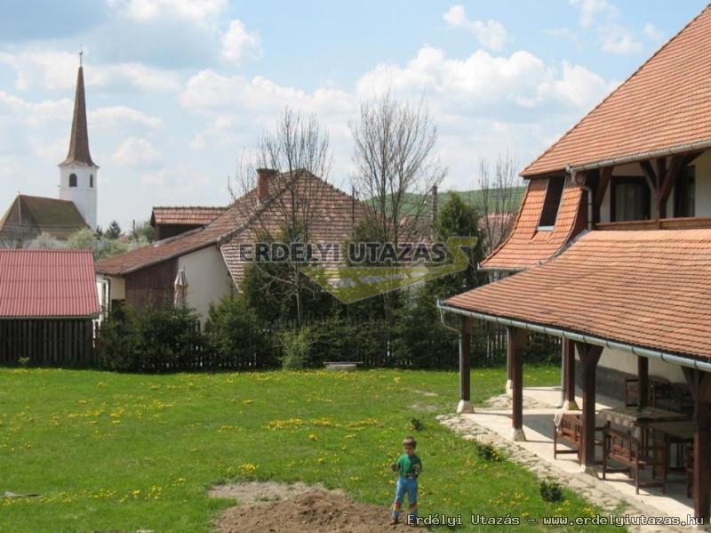 Kria Vendghz (2)