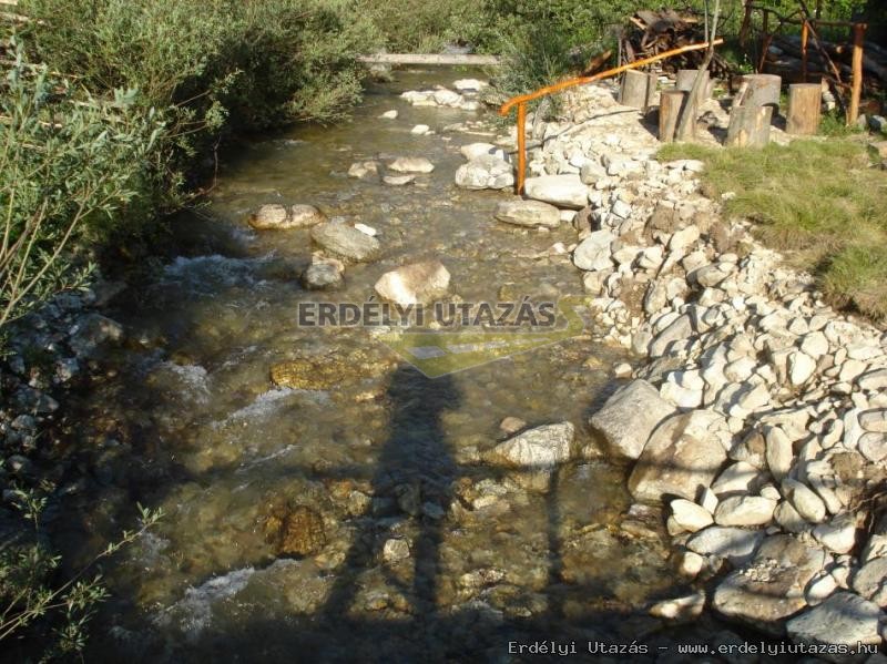 Vila River (22)