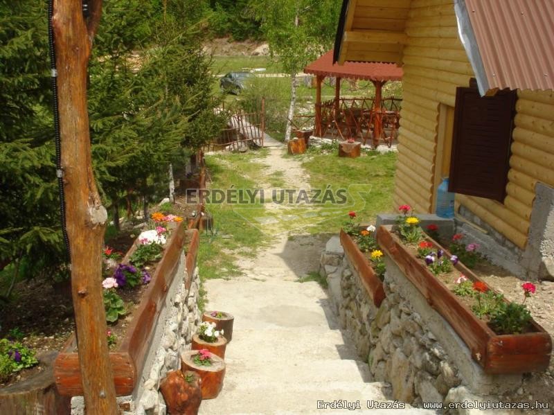 Vila River (21)