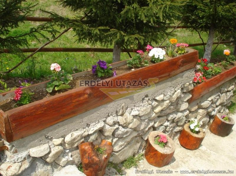 Vila River (23)