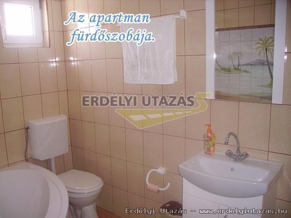 Az apartmanhoz tartoz frdszoba.