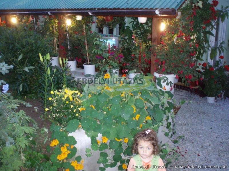 Gasthaus S�ndor (18)