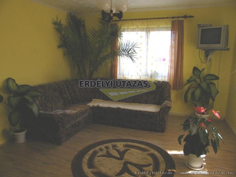 Nagy Vend�gh�z (7)