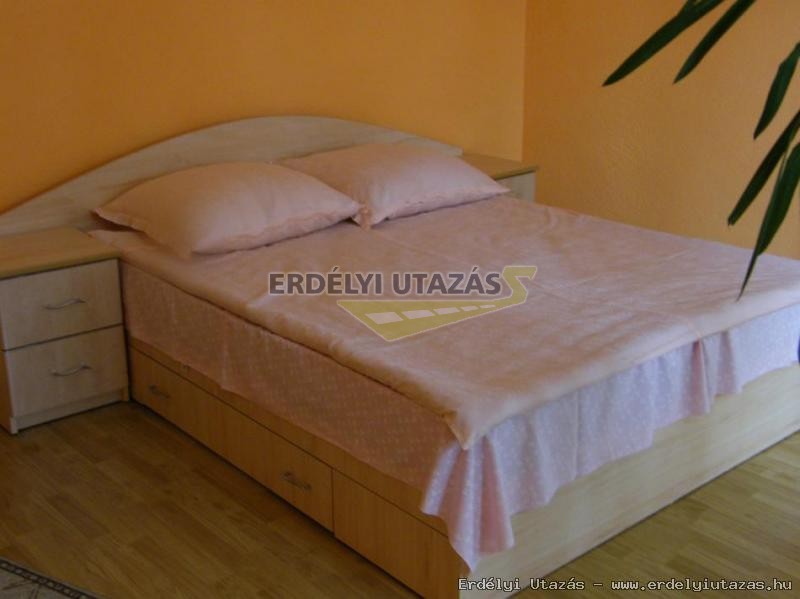 Nagy Vend�gh�z (6)