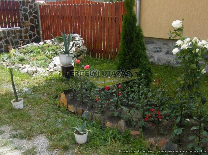 Nagy Vend�gh�z (15)