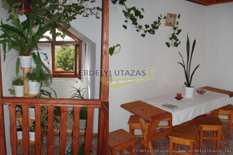 H�vir�g Panzi� (11)