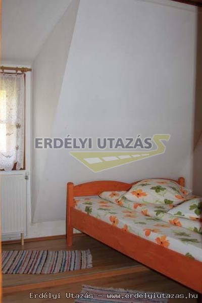 H�vir�g Panzi� (4)