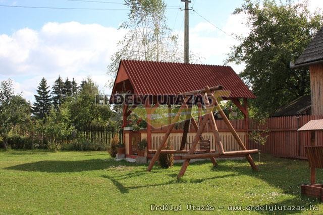 H�vir�g Panzi� (12)