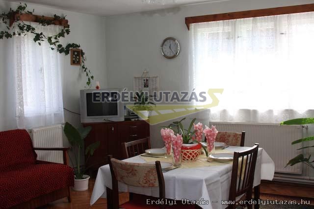 H�vir�g Panzi� (2)