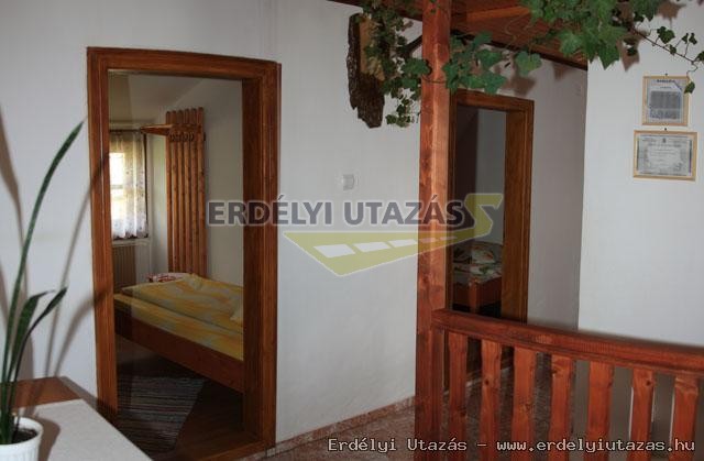 H�vir�g Panzi� (9)