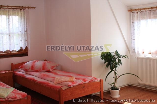 H�vir�g Panzi� (6)