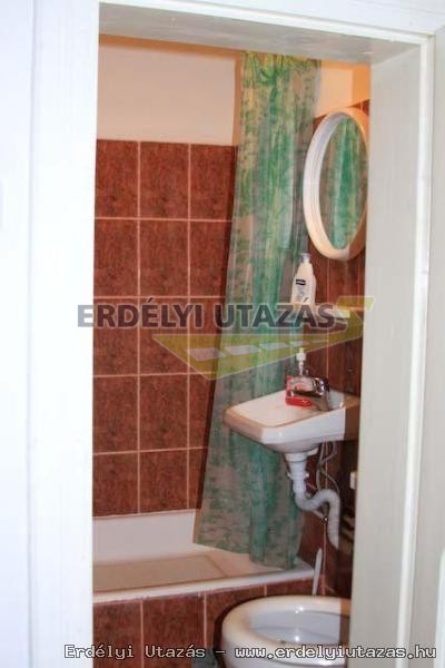 H�vir�g Panzi� (10)