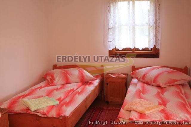 H�vir�g Panzi� (5)