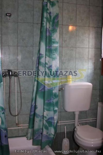 H�vir�g Panzi� (8)