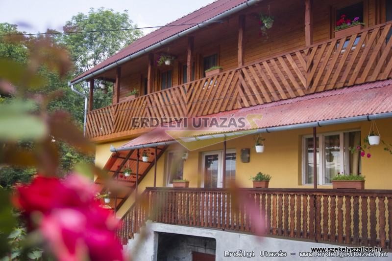 Kinga Guesthouse (1)