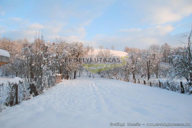 Garden in wintertime