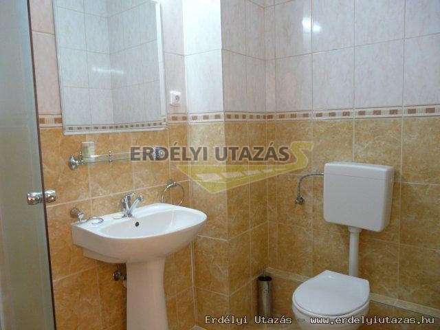 PENSIUNEA ROUA MUNTILOR * * * (6)