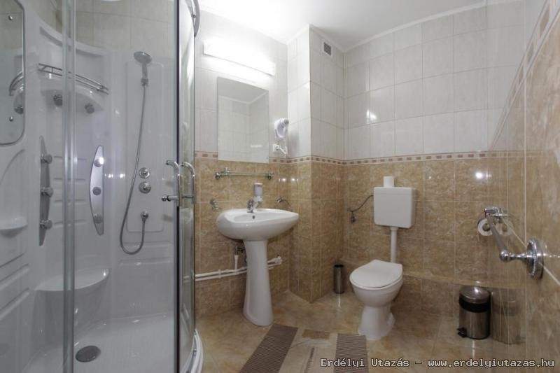 PENSIUNEA ROUA MUNTILOR * * * (10)