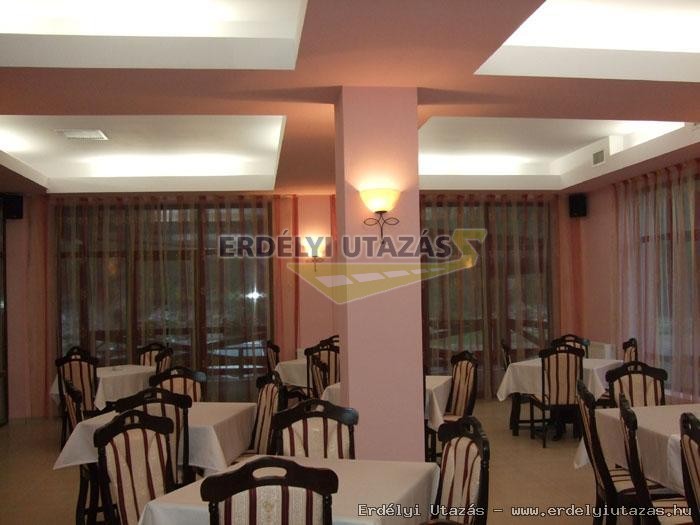 Carpathia Panzi� (8)