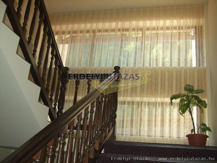 Carpathia Panzi� (12)