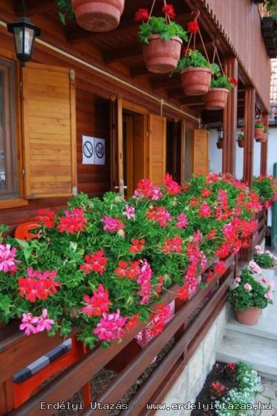 Geranium Pension (7)