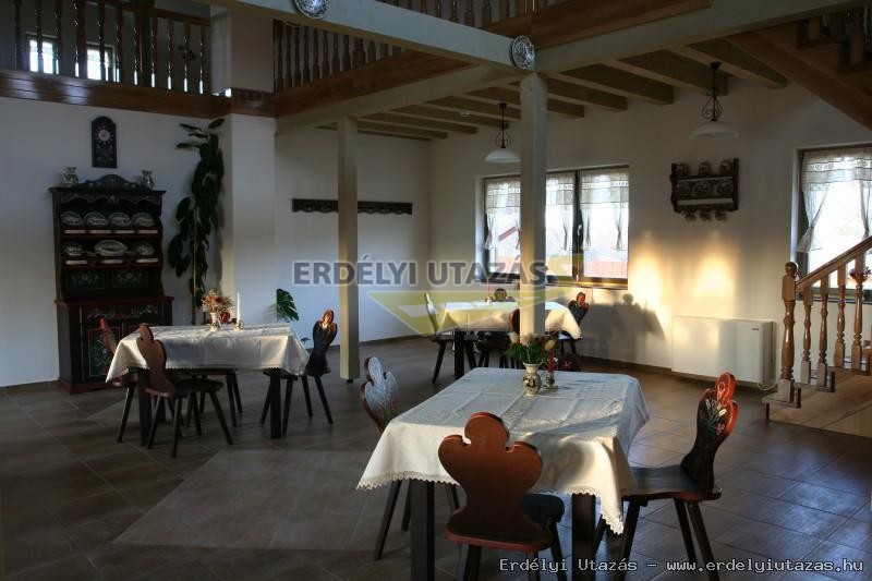 Csillag�sv�ny Panzi� (11)