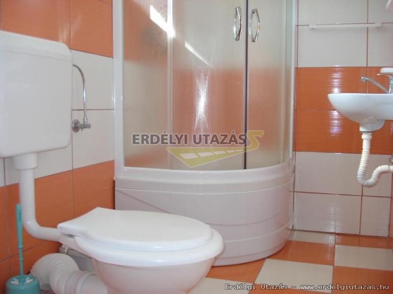 Kormos Panzi (15)