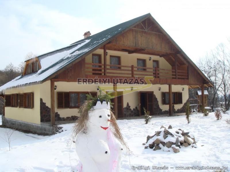 Kormos Panzi (2)