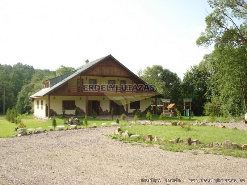 Kormos Panzi (4)