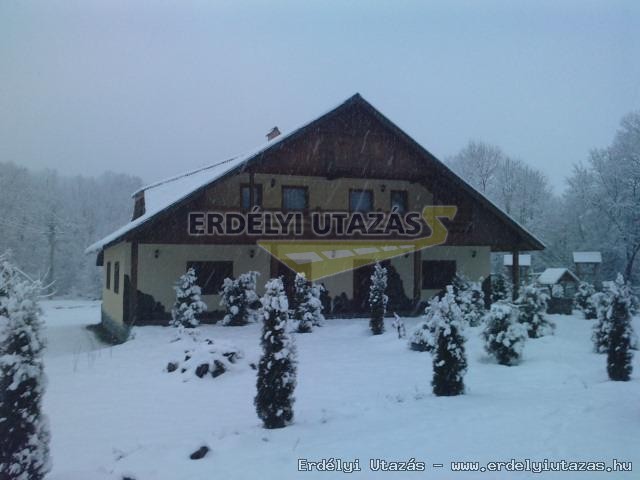 Kormos Panzi (3)