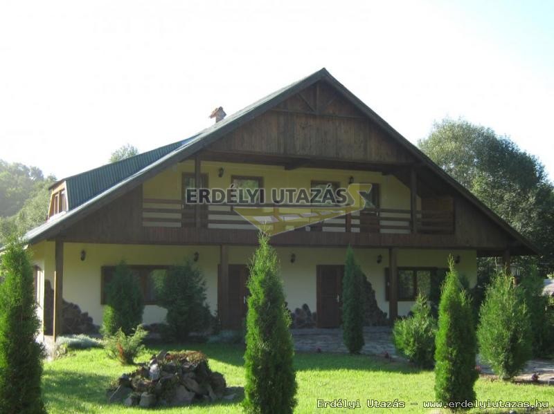 Kormos Panzi (1)