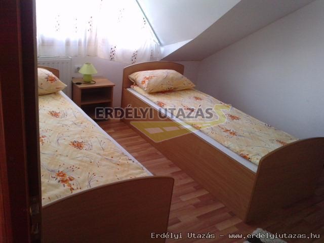 Kormos Panzi (10)