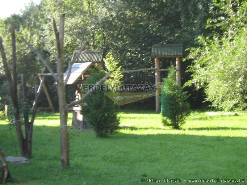 Kormos Panzi (7)