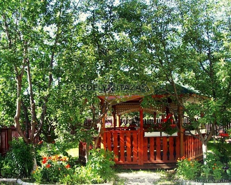 Napsugr Panzi (4)
