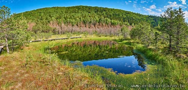 Mohos tzeglp 77 km