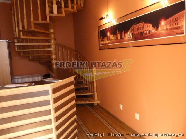 Vir�g Panzi� (9)