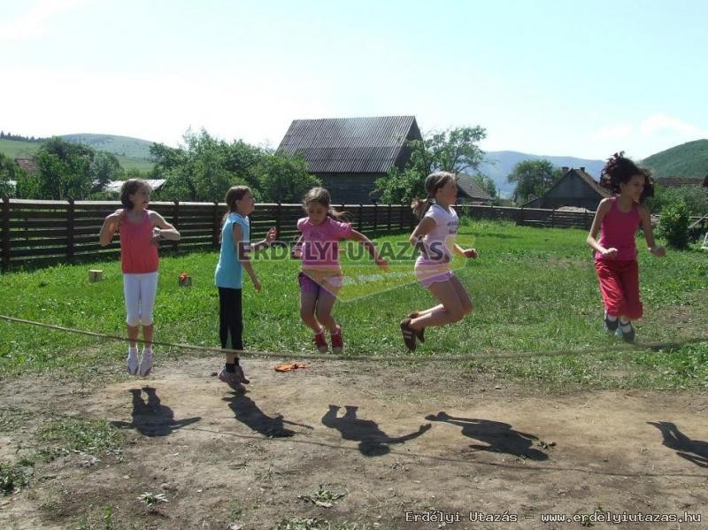 Erdei Iskola Vendghz (6)