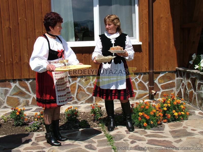 Erdei Iskola Vendghz (7)