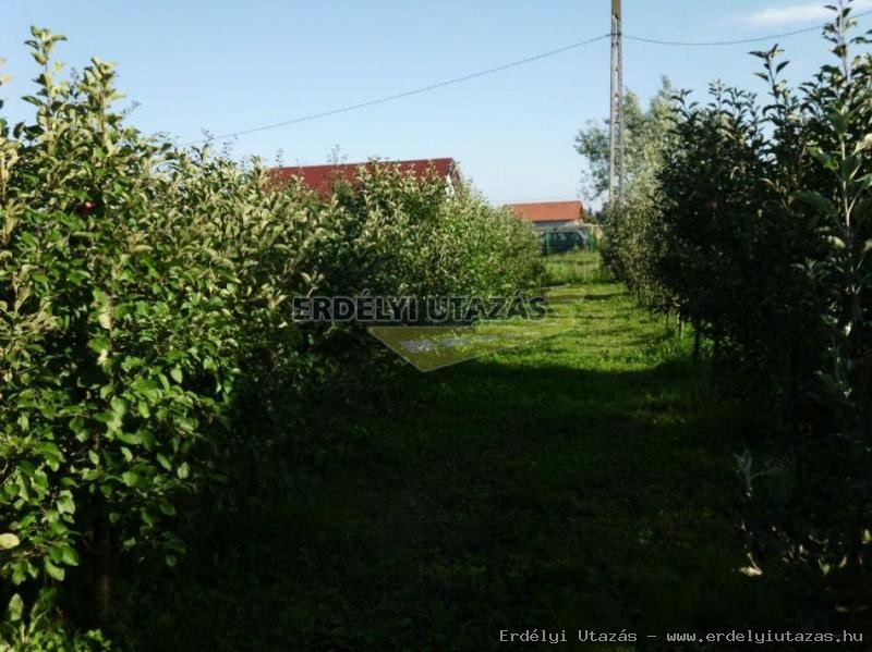 M�ty�s Pension (10)