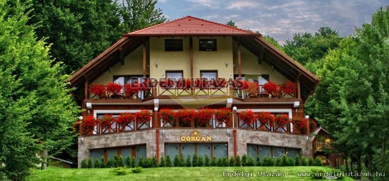 Gorgn panzi (1)