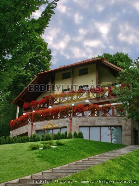 Gorgn panzi (2)