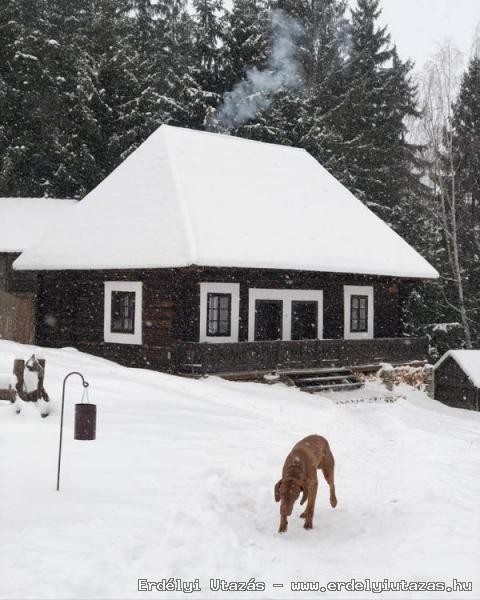 Gyimesi Skanzen Guesthouses (46)